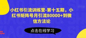 小红书引流训练营-第十五期,小红书矩阵号月引流80000+到微信方法论-水滴知识网