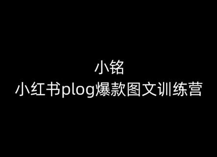 小铭-小红书plog爆款图文训练营,教你从0-1做小红书-水滴知识网