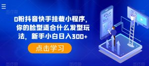 0粉抖音快手挂载小程序，你的脸型适合什么发型玩法，新手小白日入300+【揭秘】-水滴知识网