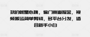 玩的就是心跳，偏门赛道掘金，视频搬运简单剪辑，多平台分发，适合新手小白【揭秘】-水滴知识网