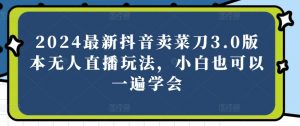 2024最新抖音卖菜刀3.0版本无人直播玩法,小白也可以一遍学会【揭秘】-水滴知识网