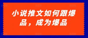 小说推文如何跟爆品，成为爆品【揭秘】-水滴知识网