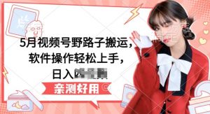 5月视频号野路子搬运,软件操作轻松上手,日入三位数【揭秘】-水滴知识网