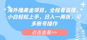 海外撸美金项目，全程看直播，小白轻松上手，日入一两张，可多账号操作【揭秘】-水滴知识网