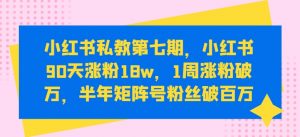 小红书私教第七期,小红书90天涨粉18w,1周涨粉破万,半年矩阵号粉丝破百万-水滴知识网