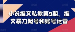 小说推文私教第9期，推文暴力起号和账号运营-水滴知识网