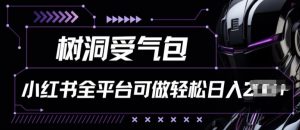 小红书等全平台树洞受气包项目，轻松日入一两张【揭秘】-水滴知识网