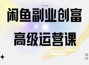 闲鱼电商运营高级课程，一部手机学会闲鱼开店赚钱-水滴知识网