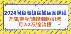2024闲鱼高级实操运营课程:开店/养号/选择爆款/引流/月入2万/全流程-水滴知识网