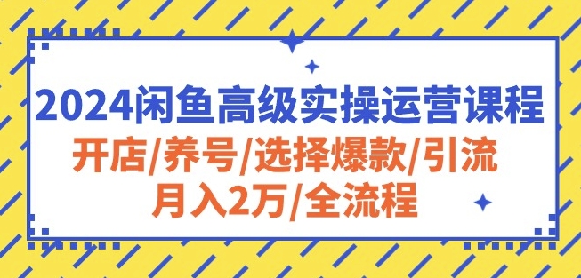2024闲鱼高级实操运营课程:开店/养号/选择爆款/引流/月入2万/全流程-水滴知识网