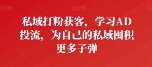 私域打粉获客,学习AD投流,为自己的私域囤积更多子弹-水滴知识网