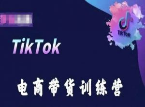 TikTok电商带货训练营，跟随时代潮流，跨境掘金-水滴知识网