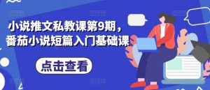 小说推文私教课第9期,番茄小说短篇入门基础课-水滴知识网