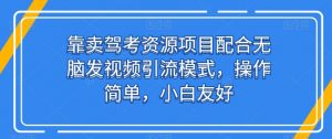 靠卖驾考资源项目配合无脑发视频引流模式，操作简单，小白友好【揭秘】-水滴知识网