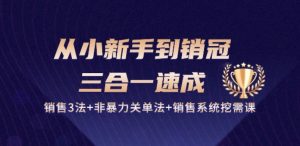 从小新手到销冠 三合一速成：销售3法+非暴力关单法+销售系统挖需课 (27节)-水滴知识网