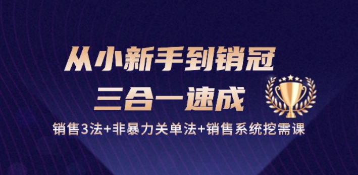 从小新手到销冠 三合一速成:销售3法+非暴力关单法+销售系统挖需课 (27节)-水滴知识网