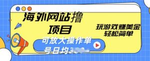 海外网站撸金项目，玩游戏赚美金，轻松简单可放大操作，单号每天均一两张【揭秘】-水滴知识网