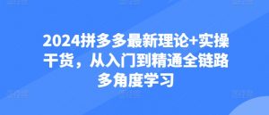 2024拼多多最新理论+实操干货，从入门到精通全链路多角度学习-水滴知识网
