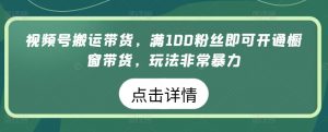 视频号搬运带货,满100粉丝即可开通橱窗带货,玩法非常暴力【揭秘】-水滴知识网