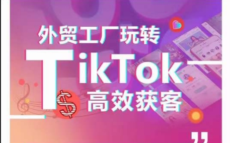 外贸工厂玩转TikTok高效获客，多种引流方式与账号定位技巧，拆解爆款短视频打造成功案例-水滴知识网