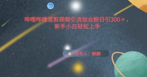 哔哩哔哩混剪视频引流创业粉日引300+,新手小白轻松上手【揭秘】-水滴知识网