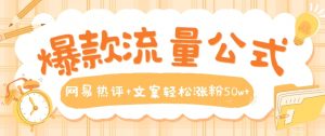 爆款流量公式，网易热评+文案轻松涨粉50w+【揭秘】-水滴知识网