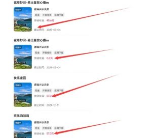 磁力聚星游戏副业陪跑训练营1.0,长期稳定项目,有人一周干了1K+-水滴知识网