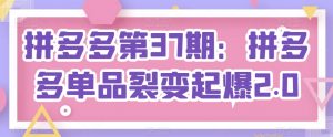 拼多多第37期：拼多多单品裂变起爆2.0-水滴知识网