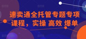 速卖通全托管专题专项课程,实操 高效 爆单-水滴知识网