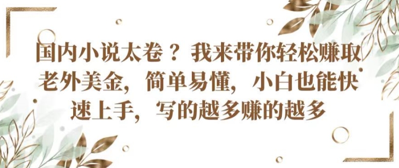 国内小说太卷 ?带你轻松赚取老外美金,简单易懂,小白也能快速上手,写的越多赚的越多【揭秘】-水滴知识网