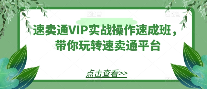 速卖通VIP实战操作速成班,带你玩转速卖通平台-水滴知识网