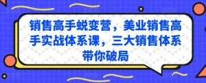 销售高手蜕变营，美业销售高手实战体系课，三大销售体系带你破局-水滴知识网