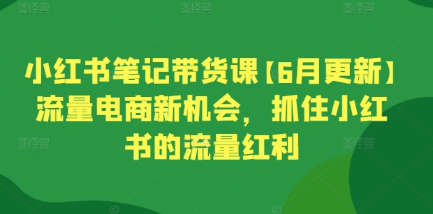 小红书笔记带货课【6月更新】流量电商新机会,抓住小红书的流量红利-水滴知识网