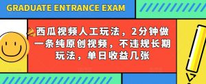 西瓜视频写字玩法，2分钟做一条纯原创视频，不违规长期玩法，单日收益几张-水滴知识网