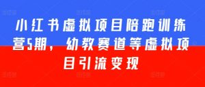 小红书虚拟项目陪跑训练营5期,幼教赛道等虚拟项目引流变现-水滴知识网