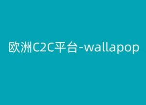欧洲C2C平台-wallapop-kim跨境电商教程-水滴知识网