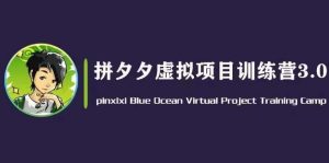黄岛主·拼夕夕虚拟变现3.0，蓝海平台的虚拟项目，单天50-500+纯利润-水滴知识网