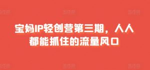 宝妈IP轻创营第三期,人人都能抓住的流量风口-水滴知识网