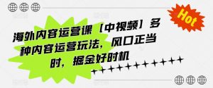 海外内容运营课【中视频】多种内容运营玩法,风口正当时,掘金好时机-水滴知识网