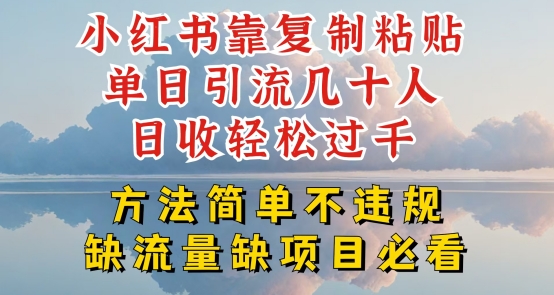 小红书靠复制粘贴单日引流几十人目收轻松过千,方法简单不违规【揭秘】-水滴知识网