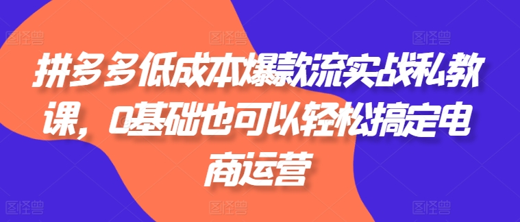 拼多多低成本爆款流实战私教课,0基础也可以轻松搞定电商运营-水滴知识网