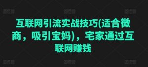 互联网引流实战技巧(适合微商,吸引宝妈),宅家通过互联网赚钱-水滴知识网
