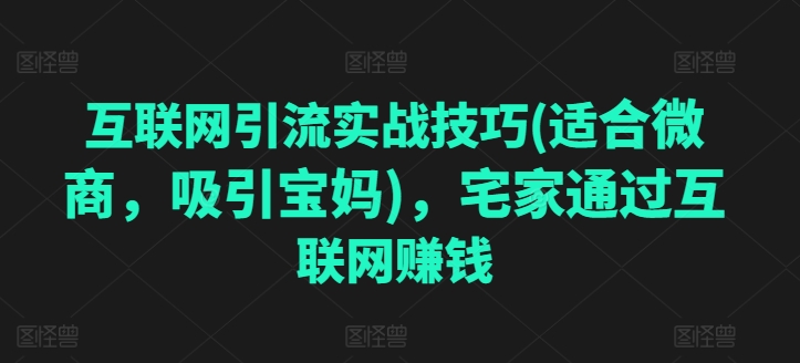 互联网引流实战技巧(适合微商,吸引宝妈),宅家通过互联网赚钱-水滴知识网