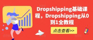 Dropshipping基础课程，Dropshipping从0到1全教程-水滴知识网