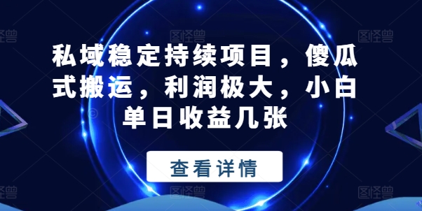 私域稳定持续项目，傻瓜式搬运，利润极大，小白单日收益几张【揭秘】-水滴知识网