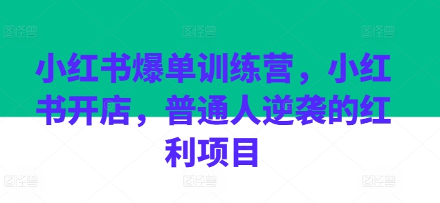 小红书爆单训练营,小红书开店,普通人逆袭的红利项目-水滴知识网