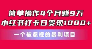 简单操作4个月赚9w，小红书打卡日变现1k，一个被忽视的暴力项目【揭秘】-水滴知识网