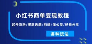 小红书商单变现教程:起号涨粉/爆款选题/剪辑/蒲公英/好物分享/各种玩法-水滴知识网
