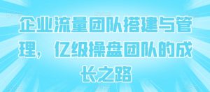 企业流量团队搭建与管理，亿级操盘团队的成长之路-水滴知识网