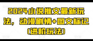 2024小说推文最新玩法，动漫剧情+图文标记(进阶玩法)-水滴知识网